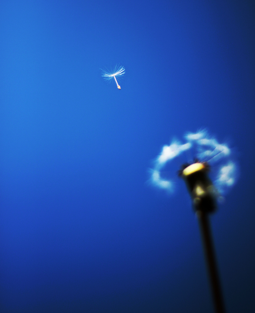 featured-image